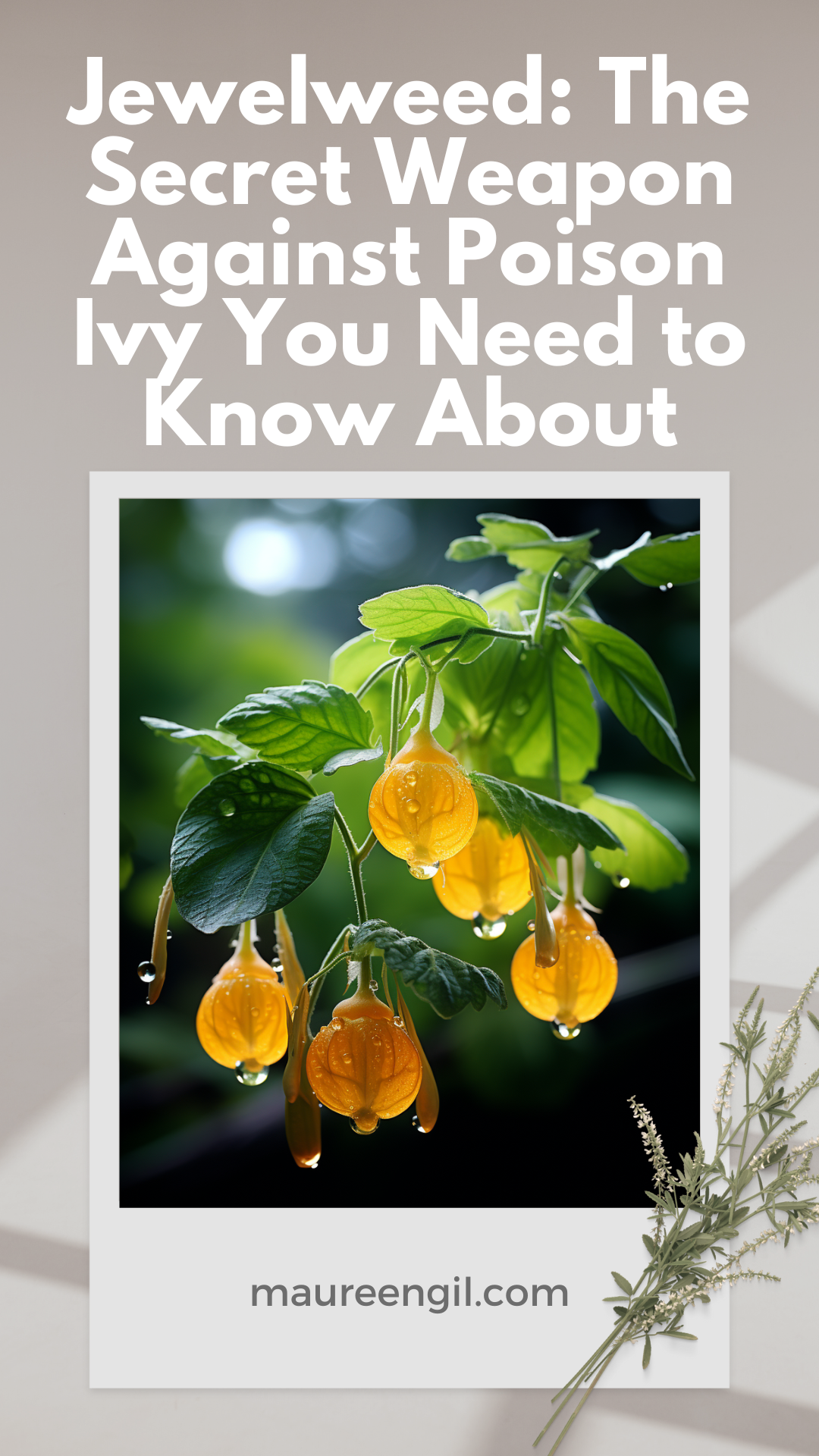 Jewelweed: The Secret Weapon Against Poison Ivy You Need to Know About 1 If you're looking for a natural solution to poison ivy, look no further than jewelweed. Learn about its properties and how it can help you find relief.