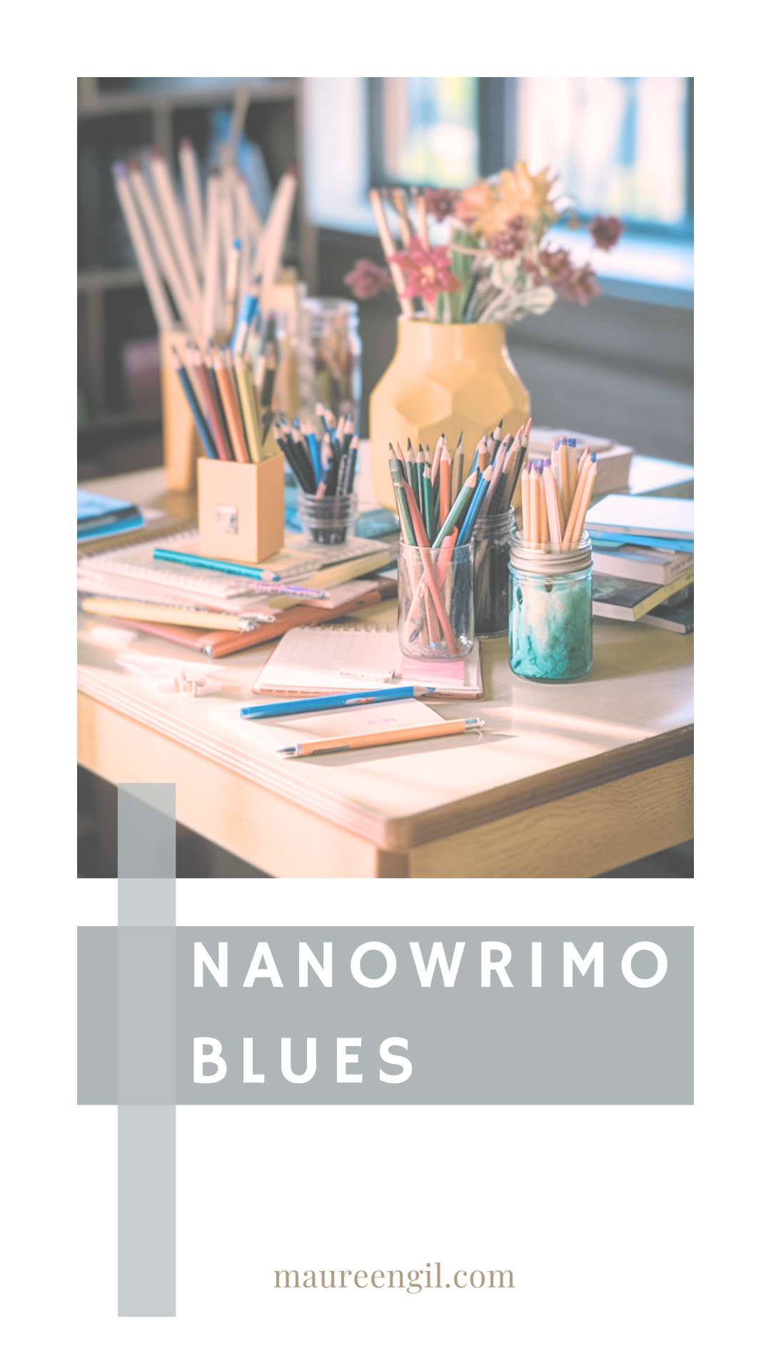 This year was the first time that I will participate in NaNoWriMo. Okay, so that was a lie. I participated like a gazillion years ago, but (like most things in my life), I forgot about it until after it was over.